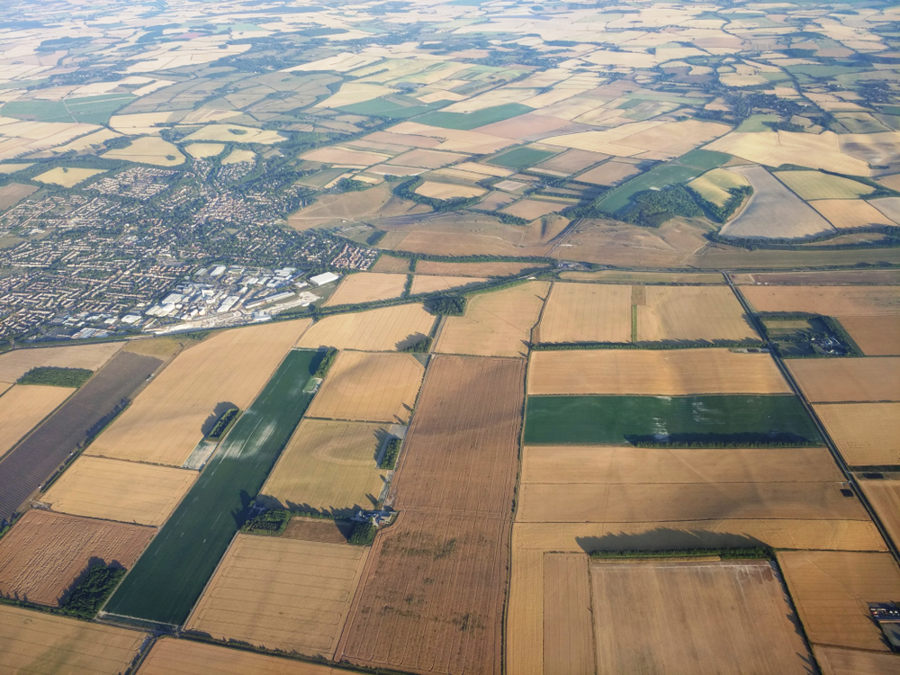 Airview of UK yellow fields of crops in Luton, Bedfordshire