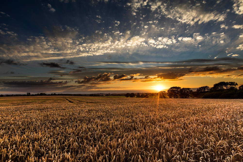 Near Caistor, Lincolnshire