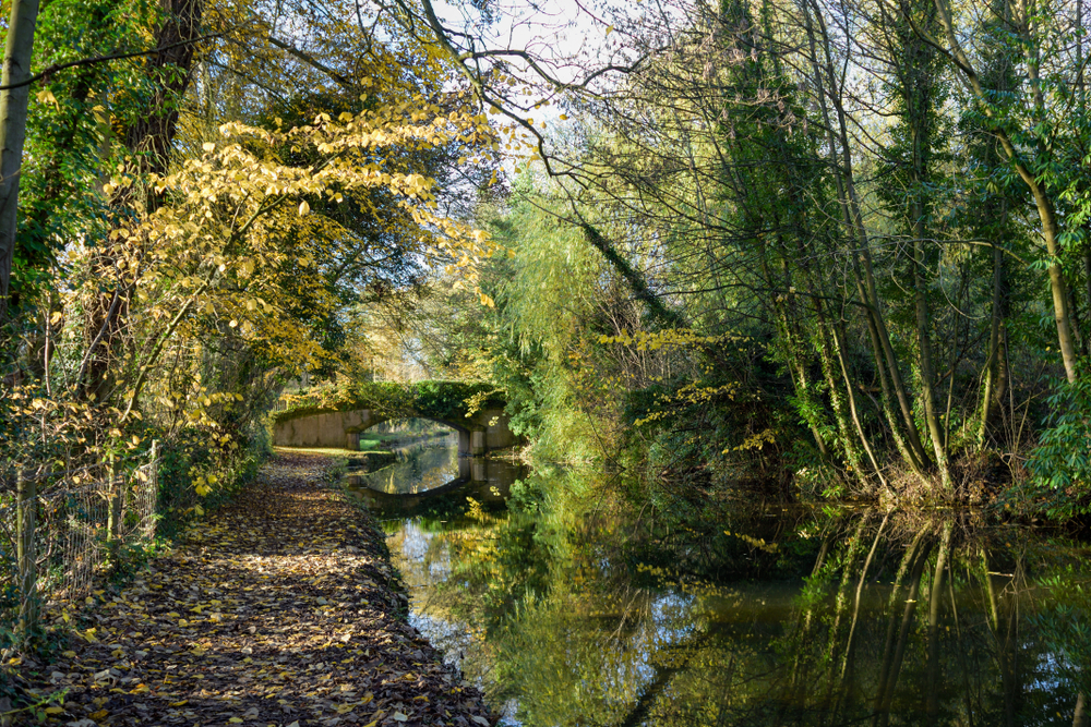 Chesterfield canal Autumn morning reflecting in the waters surface in North Nottinghamshire